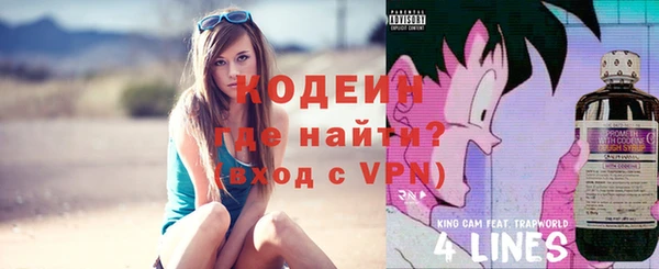 apvp Каменка