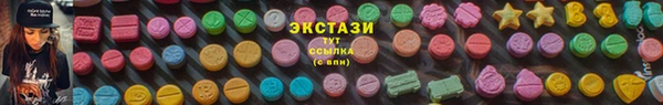 apvp Каменка