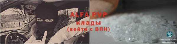 apvp Каменка