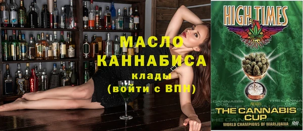 apvp Каменка