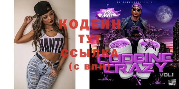 apvp Каменка