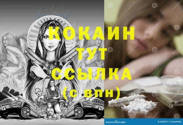 apvp Каменка